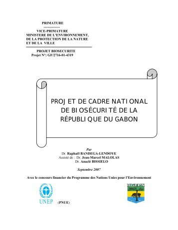 GANBFrep.pdf - UNEP