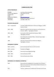 CURRICULUM VITAE Luis Moran (1).pdf - Condepah