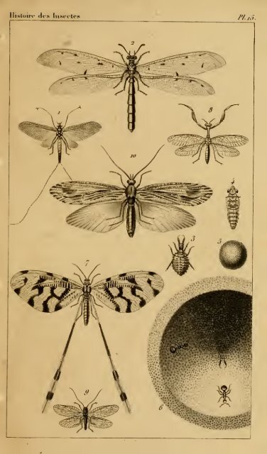 Histoire des insectes : traitant de leurs moeurs et de leurs ...