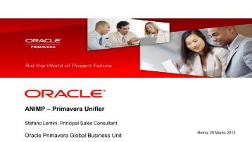 Oracle Primavera Senior Sales Consultant - Animp