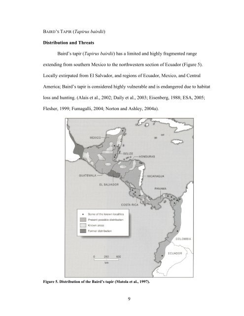 tapir behavior- an examination of activity patterns, mother young ...