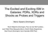 The Excited and Exciting ISM in Galaxies: PDRs, XDRs ... - Caltech