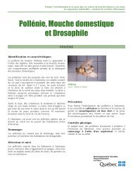 Pollénie, mouche domestique et drosophile - Développement ...