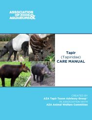 Tapir - Association of Zoos and Aquariums