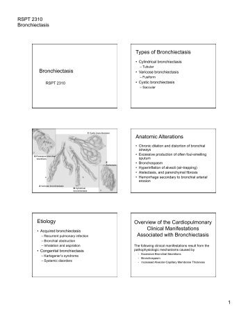 Bronchiectasis Types of Bronchiectasis Anatomic Alterations ...