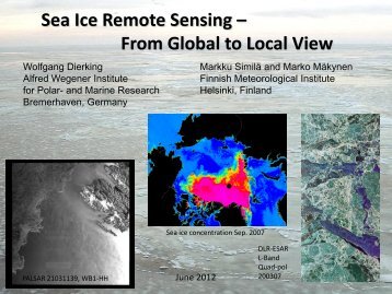 Sea Ice Remote Sensing – From Global to Local View Wolfgang