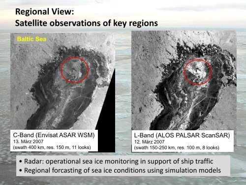 Sea Ice Remote Sensing – From Global to Local View Wolfgang