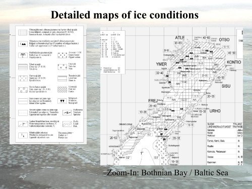 Sea Ice Remote Sensing – From Global to Local View Wolfgang