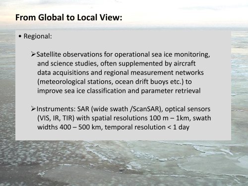 Sea Ice Remote Sensing – From Global to Local View Wolfgang