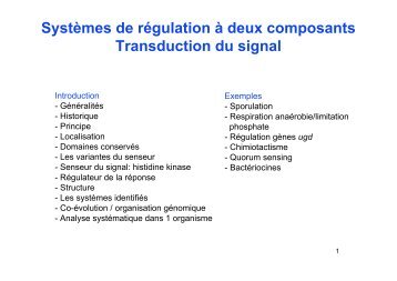 Téléchargement - CNRS