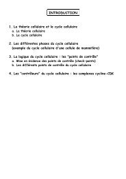 Expériences de perturbation du cycle cellulaire - UPMC