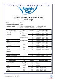 SUCRE SEMOULE SURFINE 250 - Signet