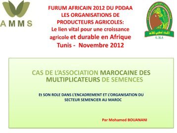 ASSOCIATION MAROCAINE DES MULTIPLICATEURS DE SEMENCES - Africa ...