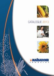 CATALOGUE 2013 - Maïsadour Semences