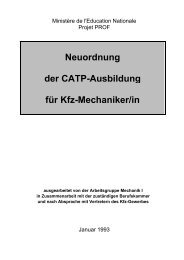 Rahmenlehrplan KFZ-Mechaniker (CATP)