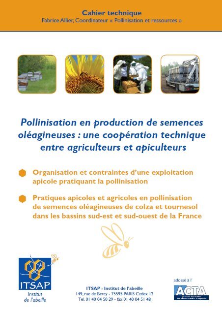 Pollinisation en production de semences oléagineuses - ITSAP