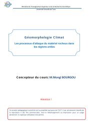 Les processus d'attaque du matériel rocheux dans les régions arides