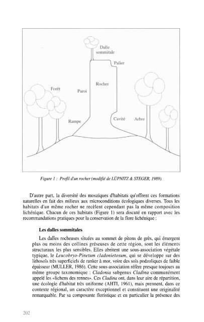 Inventaire des champignons lichénisés et lichénicoles de la ...