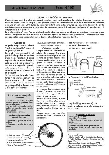 le greffage et la taille - Terre & Humanisme