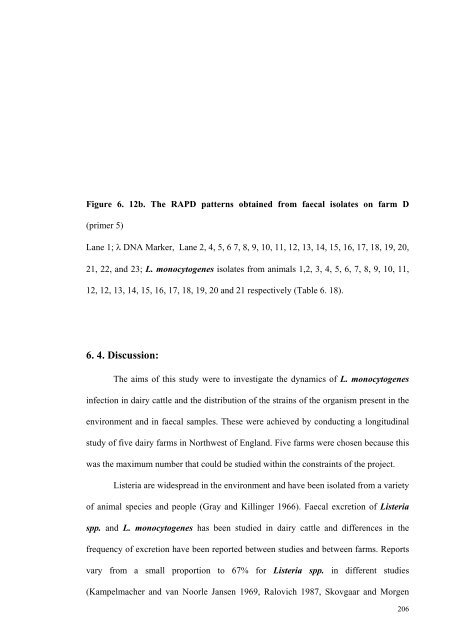 an epidemiological study of listeriosis in dairy cattle