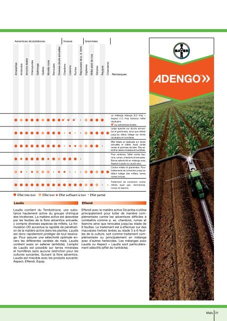 Recommandations phytosanitaires 2012 - Bayer CropScience ...