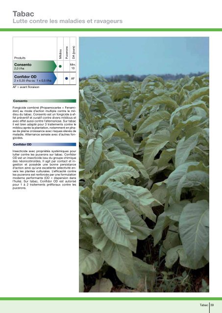 Recommandations phytosanitaires 2012 - Bayer CropScience ...
