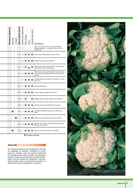 Recommandations phytosanitaires 2012 - Bayer CropScience ...