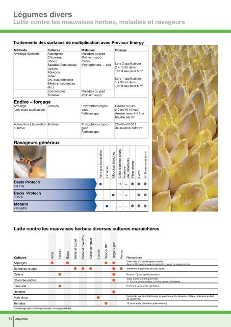 Recommandations phytosanitaires 2012 - Bayer CropScience ...