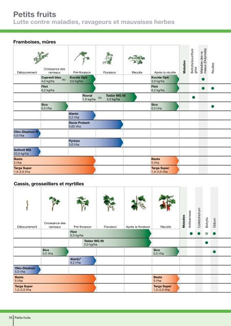 Recommandations phytosanitaires 2012 - Bayer CropScience ...