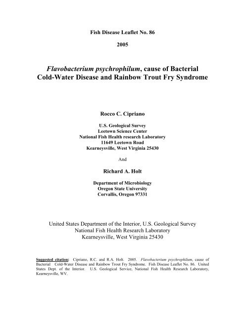 Flavobacterium psychrophilum, cause of ... - cop.eXtension.org