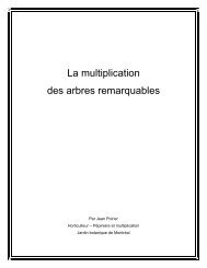 La multiplication des arbres remarquables