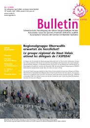 2006 - Bulletin Nr. 2 - SVEHK