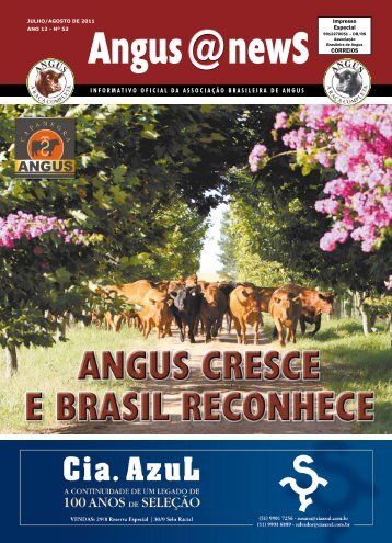 Angus@newS - Vitrinebage