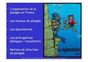 • L'organisation de la plongée en France • Les niveaux de plongée ...
