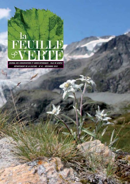 FEUILLE - Ville de Genève