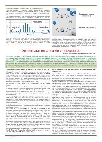Désherbage en chicorée : nouveautés