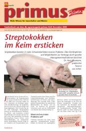 Streptokokken im Keim ersticken (PDF). - Animal-Health-Online