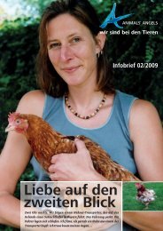 Infobrief 02/2009 - Animals' Angels e.V.