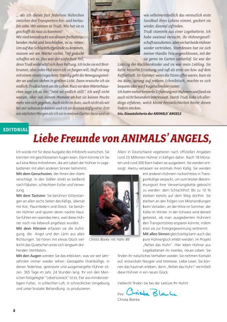 Infobrief 02/2009 - Animals' Angels e.V.