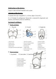 Embryology of the larynx - Dr. Nassem Talaat