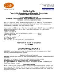 Instructions and Technical Data for Bora-Care 700 - ConServ Epoxy ...