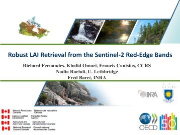 Robust LAI Retrieval from the Sentinel-2 Red-Edge Bands