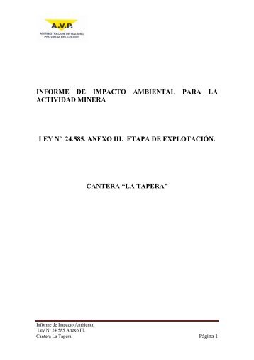 informe de impacto ambiental para la actividad minera ... - Organismos