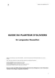 GUIDE DU PLANTEUR D'OLIVIERS - Afidol