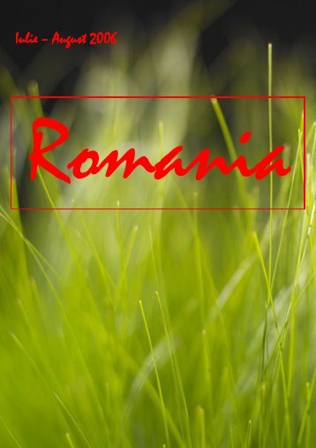 Romania : Netmonitoring report 2006