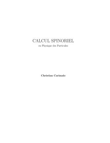 CALCUL SPINORIEL