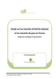 Etude sur les marchés d'intérêt national et les ... - FranceAgriMer