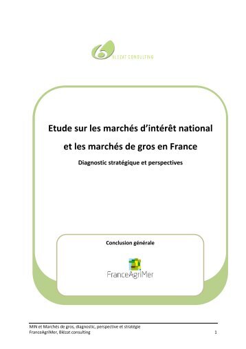 Etude sur les marchés d'intérêt national et les ... - FranceAgriMer