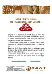 Le blé PAKITO intègre les « Variétés Sélection ... - RAGT Semences