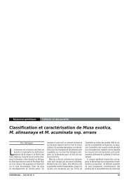 Classification et caractérisation de Musa exotica, M ... - Musalit